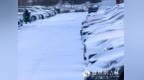 春未至雪又来！长春入春再度遇挫