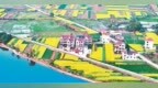 泰和县：金色田园景如画（图）