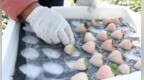 90后种的白草莓，在迪拜卖268一斤