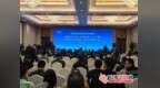 四中全会精神在基层丨加快建设国际货物集货枢纽 兰山区全面启动外贸生态构建工程