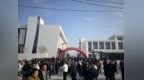 滨海县八滩镇：千里乡情归桑梓 智聚同心启新程