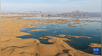 内蒙古乌海：沙水相依鸥翔集