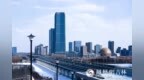 图集|长春北湖春日“百鸟图”