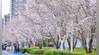血糖高别乱吃药！老年糖尿病管理记住这“四字诀”