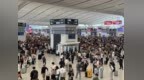 清明遇上公众假期，广深港高铁跨境北上客流创新高