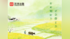 清明阅书香 春日赴清欢