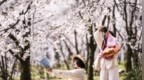 唠“科”话丨让人过敏的彼“花”，不是你我拍照观赏的此“花”