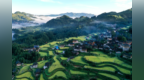 从“来了就走”到“住下来”：旅居凭什么选择贵州？