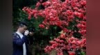 春暖花开，脸却“闹脾气”？看看如何科学应对