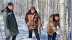 漠河林业局提前谋划桦树汁采集