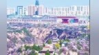 春到董志塬　杏花绘就陇东新画卷