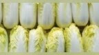 甘肃张掖拍了拍有才的你　品牌IP形象设计最高奖两万