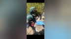 生死竞速！世博高新医院+119联动，陡峭山体上抢回过敏休克患者生命