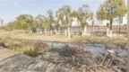 “城市客厅”藏死角 鹰潭信江新区绿地失管困扰周边居民