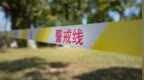 致3死8伤，桂林“10·28”交通事故调查报告公布