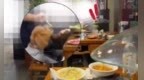 顾客携犬进入马鞍山一餐饮店就餐，市监局发布情况通报