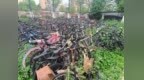 武汉一高校内上千辆“僵尸自行车”等待认领 学校统一上锁保管