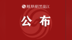 黑龙江省巡视巡察工作会议暨十三届省委第九、十轮巡视动员部署会召开第九轮巡视对象公布