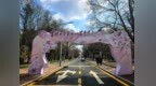四时俱好，繁花长春！这份春日漫游攻略，带你解锁“花young”春城