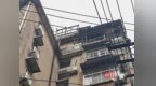 武汉一老人楼顶养花种菜影响邻里 社区：将组织清理