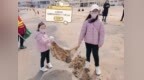 以青少年力量共建引领型现代海洋城市 / Youth Power Shaping a Leading Modern Ocean City