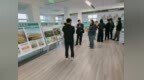 从蛟龙走到南岚湾：广州调研组实地点赞镇海耕地保护实践