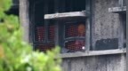 香港大火五个月后，我们第一次回家