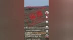 编造“南阳邓州小麦倒伏无法收割”虚假信息，网民刘某某被依法约谈
