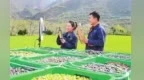 石谋军：电商+产业+品牌　甘味出山走向全国