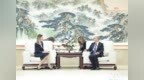 林武会见塞尔维亚副总理兼经济部长梅萨罗维奇