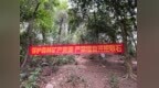 广州黄埔暹岗大山被采挖坑洞已全部回填复绿