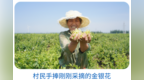 以岭药业2025ESG责任答卷：药谷兴农筑根基，绿富同行践初心