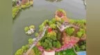 赏花海、看萌宠、观水上秀，“五一”淮安不远游