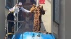 吊车巨型炉里吊出烤全驼　景区游客排长队免费品尝