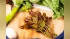 别拿命尝鲜！这4种路边“野菜”，吃了可能躺板板，白给也别要