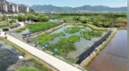 农文旅融合催热乡村游！奉化萧王庙小龙虾垂钓基地五一假期人气火爆