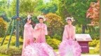 南阳市卧龙区：中国月季园吸引全国各地游客前往打卡留念