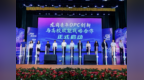 青春赴龙岗 筑梦创未来丨龙岗区2026年五四青年节主题活动圆满举办！