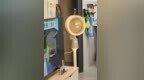 62年国货老牌放大招：语音控风+氛围灯，179元比空调更懂夏天
