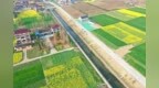 在如皋，步步“桃花源”