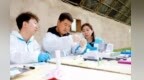 全生命周期验“芯”　甘肃临泽菜种步入分子检测时代