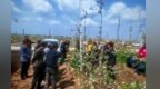 甘肃泾川：让苹果成为乡村振兴“金钥匙”