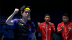 国乒男团3比0韩国，晋级世乒赛半决赛