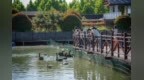 风从运河来，赴一场双龙湖的湿地之约