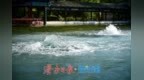 五泉齐涌如梅绽，清照故里韵悠长