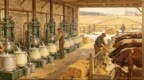 【量化历史研究】英式早餐的能源账本：1870-1913年英丹贸易中的隐含能源流与农业工业化