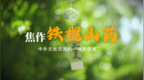 焦作铁棍山药，中外文化交流的“味觉使者”