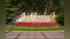 免费！江北这些公园美绝了！江景、露营、骑行……快去打卡→