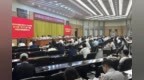 一朵木棉、一个广场、一个亿元村！顺德村域经济如何“破圈”？