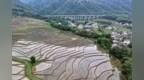 宜丰县：梯田美如画（图）
